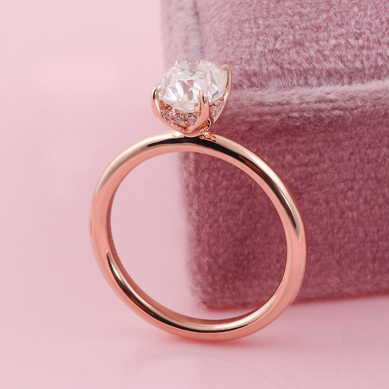 Provence 925 Silver Hidden Hal - Moissanite Ring ulasan dan harga